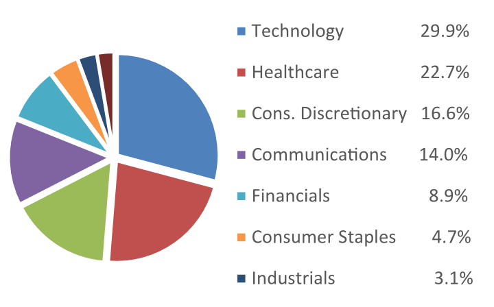 Graph depicting a pie chart and legend for Concentrated Growth