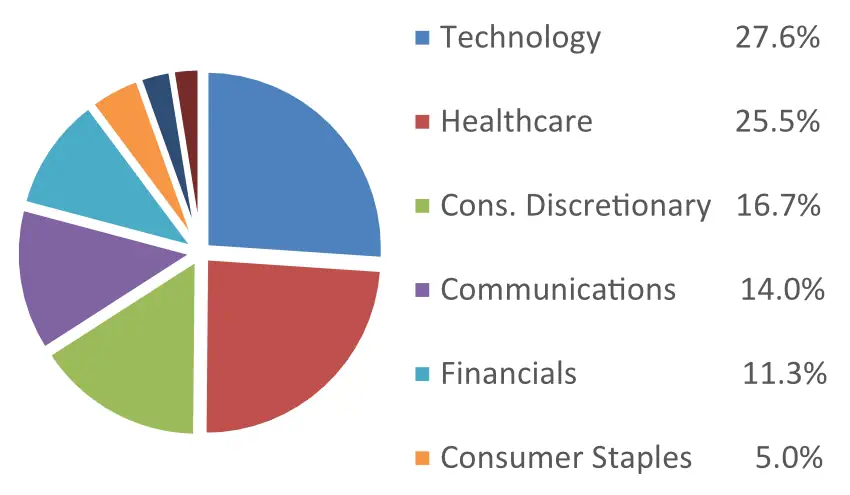 Graph depicting a pie chart and legend for Concentrated Growth