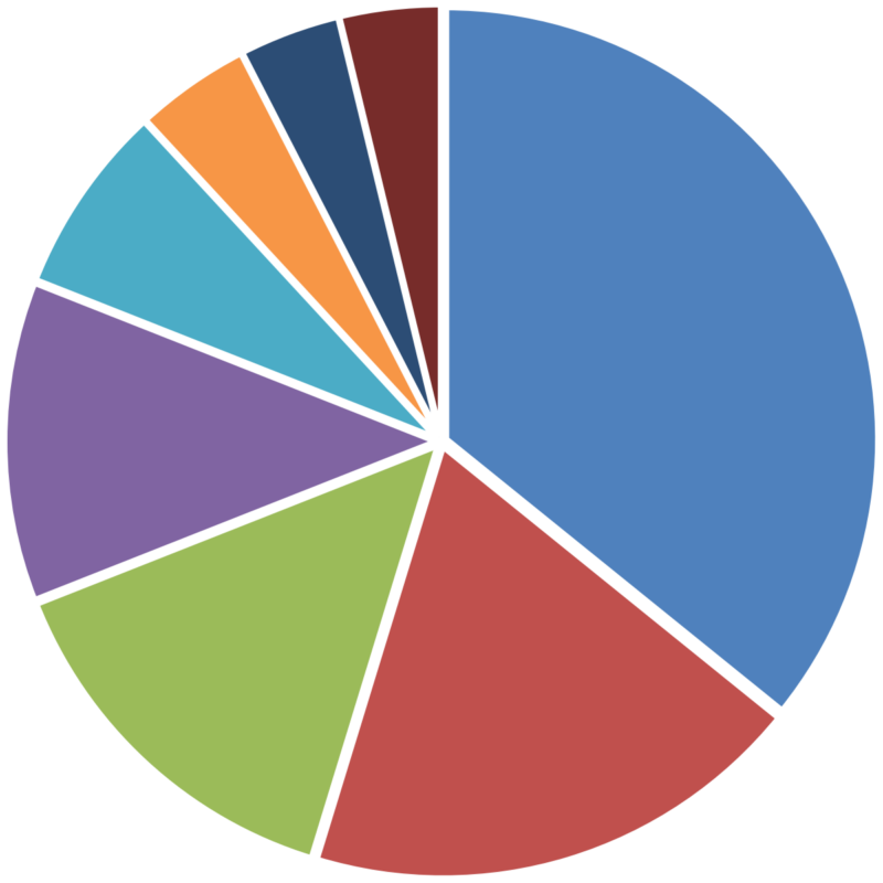 Pie Chart for Concentrated Growth Pie Chart for Concentrated Growth