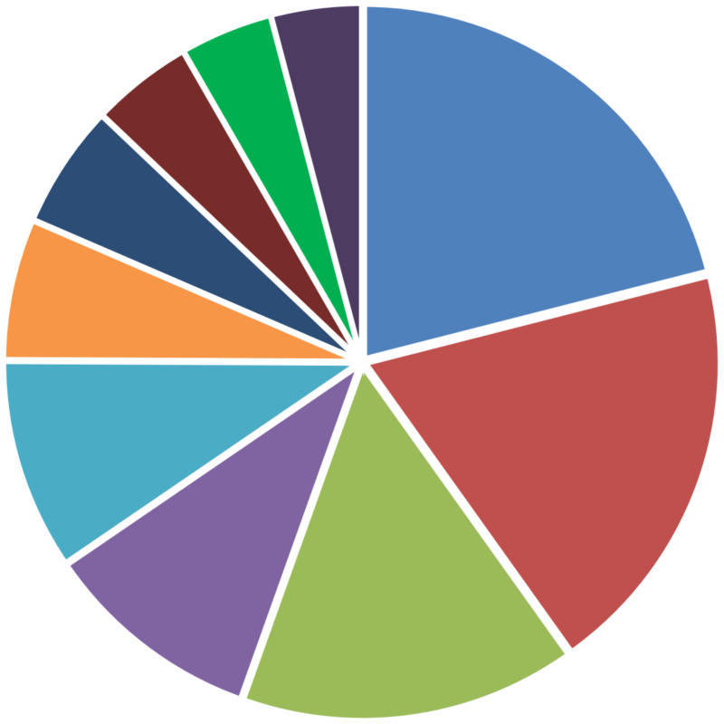 Pie Chart for Worldwide Equity Pie Chart for Worldwide Equity