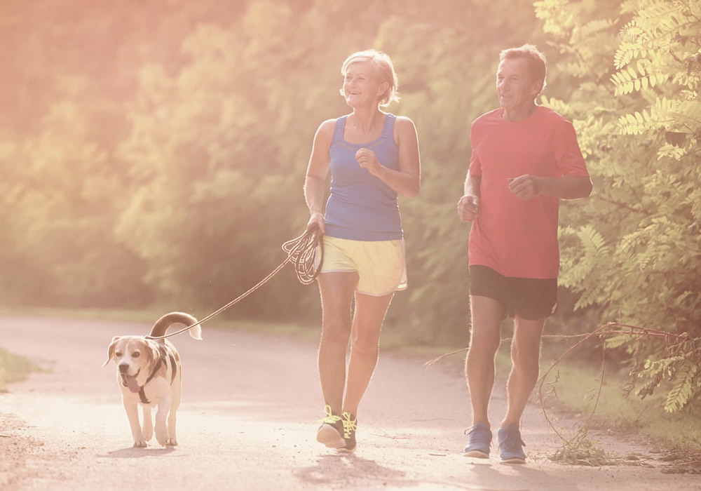 Active seniors running with their dog outside in green nature